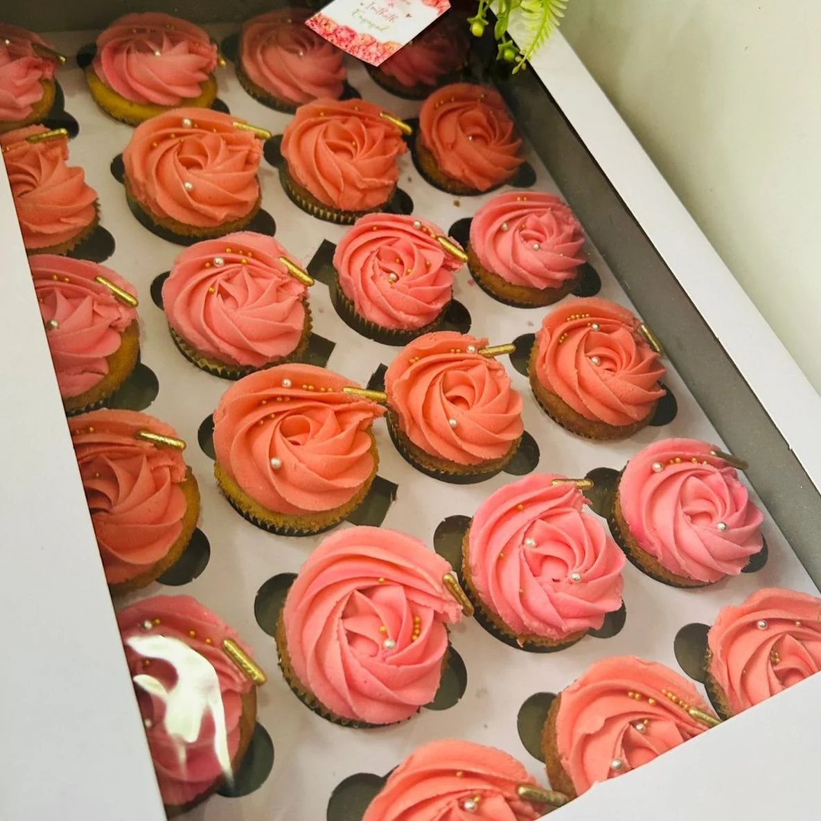 Cup Cake